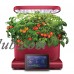 AeroGarden Harvest Touch, Eggplant with Gourmet Herbs Seed Pod Kit   568930993